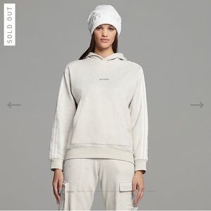 NWT Ivy Park Cargo Hoodie (All Gender)